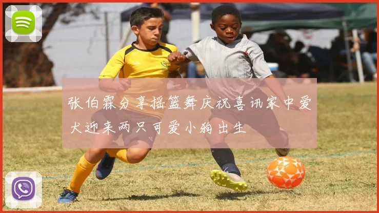 张伯霖分享摇篮舞庆祝喜讯家中爱犬迎来两只可爱小狗出生